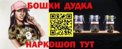 тгк Новодвинск