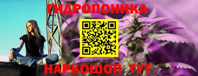 тгк Новодвинск