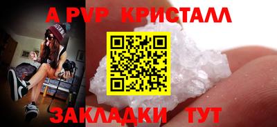 тгк Новодвинск
