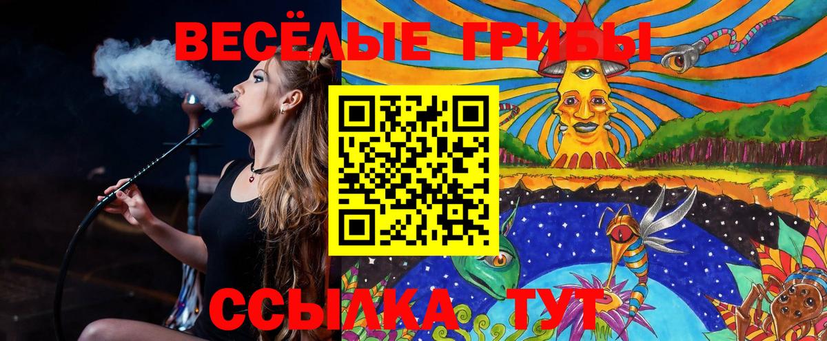 Галлюциногенные грибы мицелий Тихвин